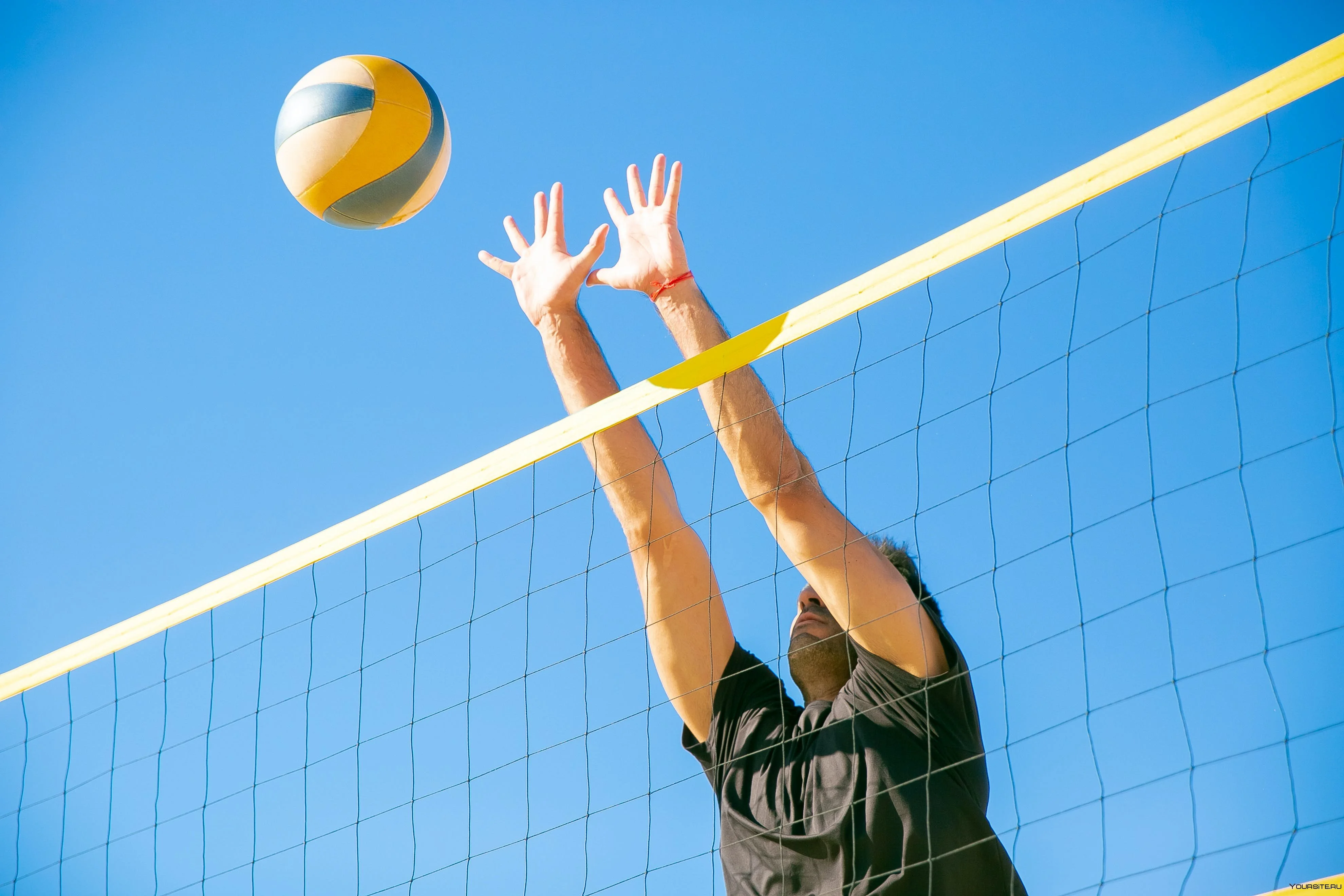Volleyball court